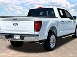2024 F-150 Thumbnail 7