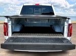 2024 F-150 Thumbnail 8