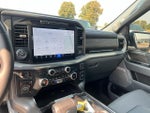 2025 F-150 Thumbnail 11