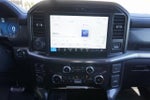 2025 F-150 Thumbnail 8