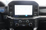 2025 F-150 Thumbnail 13