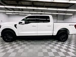 2025 F-150 Thumbnail 14