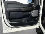 2024 F-150 Thumbnail 22