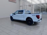 2024 F-150 Thumbnail 6