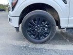 2024 F-150 Thumbnail 10