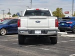 2025 F-150 Thumbnail 6