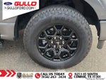 2025 F-150 Thumbnail 29