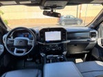 2025 F-150 Thumbnail 15