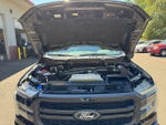 2025 F-150 Thumbnail 19