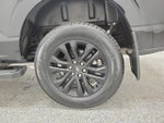 2024 F-150 Thumbnail 5
