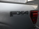 2025 F-150 Thumbnail 10