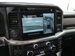 2025 F-150 Thumbnail 18