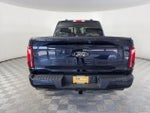 2025 F-150 Thumbnail 6
