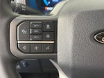 2025 F-150 Thumbnail 17