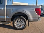2024 F-150 Thumbnail 9