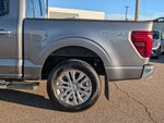 2024 F-150 Thumbnail 12