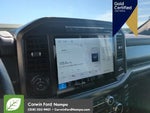 2024 F-150 Thumbnail 18