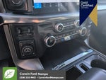 2024 F-150 Thumbnail 19