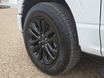 2024 F-150 Thumbnail 12