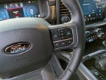 2025 F-150 Thumbnail 18