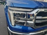 2025 F-150 Thumbnail 7