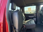 2026 F-150 Thumbnail 49
