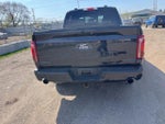 2024 F-150 Thumbnail 8