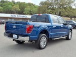 2024 F-150 Thumbnail 13