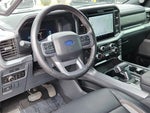 2025 F-150 Thumbnail 13