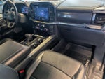 2025 F-150 Thumbnail 22