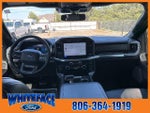 2024 F-150 Thumbnail 11