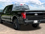2025 F-150 Thumbnail 4