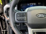 2025 F-150 Thumbnail 13