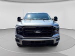 2025 F-150 Thumbnail 8