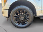2025 F-150 Thumbnail 9