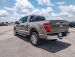 2025 F-150 Thumbnail 3