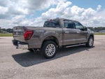 2025 F-150 Thumbnail 4