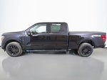 2024 F-150 Thumbnail 12