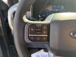 2025 F-150 Thumbnail 19