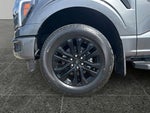 2025 F-150 Thumbnail 4
