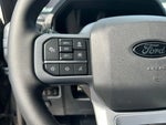 2025 F-150 Thumbnail 15