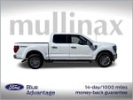 2024 F-150 Thumbnail 2
