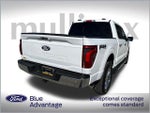 2024 F-150 Thumbnail 5