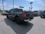 2024 F-150 Thumbnail 7