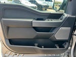 2024 F-150 Thumbnail 14