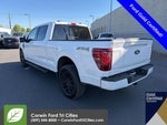 2025 F-150 Thumbnail 7