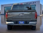 2025 F-150 Thumbnail 6