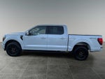 2025 F-150 Thumbnail 5