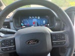 2025 F-150 Thumbnail 13