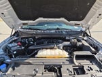 2025 F-150 Thumbnail 24